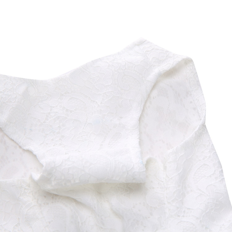 Pet Formal Dress  Dog Wedding Dress Lace Tulle Gown with Rose Accents